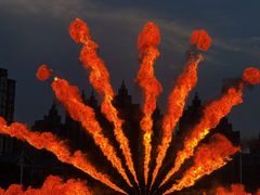 -海合安武汉极地海洋公园