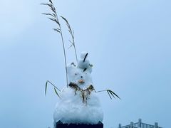 -西岭雪山大飞水景区