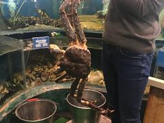 -鹊华居·地道鲁菜·海鲜·融合味(大明湖店)