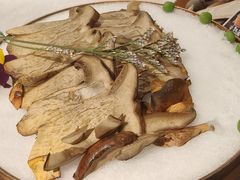 -芸山季·云南山珍菌火锅(南翔印象城MEGA店)