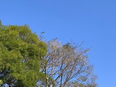 -涠洲岛火山国家地质公园