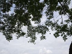 -南翔镇银翔湖公园