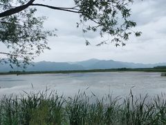 -野鸭湖国家湿地公园