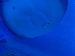 -珠海长隆海洋王国