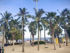 -大梅沙海滨公园