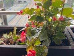 -隅焰·三生三味·手作川菜(金沙天街店)