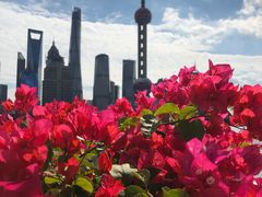 -北外滩滨江绿地