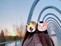 -大兴滨河森林公园