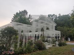 -深圳仙湖植物园