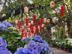 -广西壮族自治区药用植物园