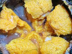 鲜海胆-蓝港海鲜厨房(闽江路店)