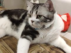 -小时光咖啡馆(开森度假森林店)
