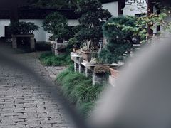 -上海醉白池公园