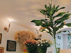 -绿房子方寸咖啡(星海名城店)