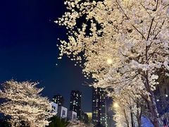 -风华初级中学(东校区)