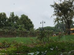 -潮府馆·非遗潮州菜·世纪公园(新国际博览中心店)