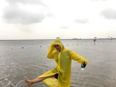 -碧海金沙