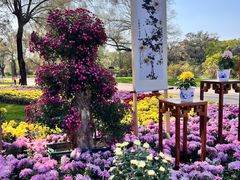-沈阳植物园