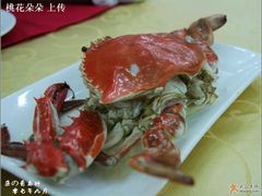 88/斤的公蟹-海岛渔村大酒店(云霄路店)