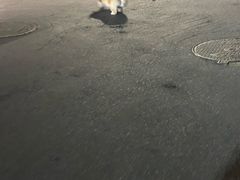 -烟台市博物馆