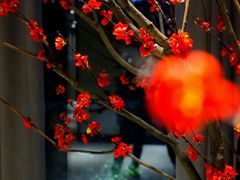 -和枫(众意路店)