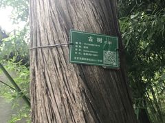 -钓鱼台国宾馆