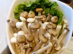 菌类拼盘-俏牛哥鲜牛肉牛肆馆(重庆天地店)