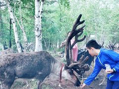 -北极村旅游风景区