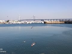 -大连圣亚海洋世界