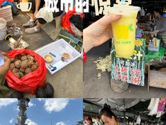 -西双版纳傣族园