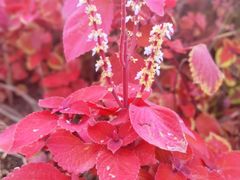 -唐城墙遗址公园