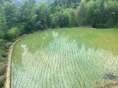 -龙脊梯田