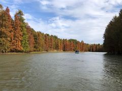 -上海海湾国家森林公园