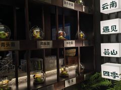 -芸山季·云南山珍菌火锅(人民广场来福士店)