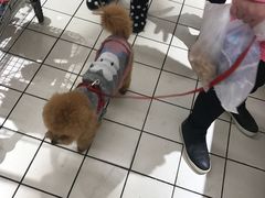 -大润发(衢州店)