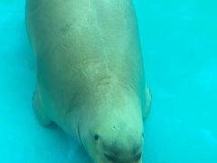 -海合安成都极地海洋公园