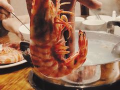 野生大斑节虾-凯华海鲜火锅·传承三十六年