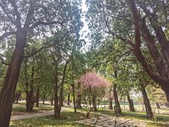 -北京市劳动人民文化宫(太庙)
