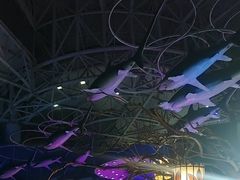 -烟台海昌鲸鲨海洋公园