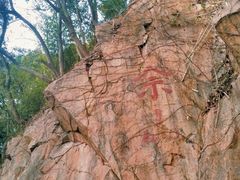 -上海佘山国家森林公园西佘山园