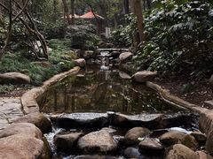-赭山公园