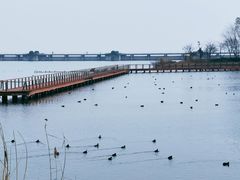 -贡湖湾湿地公园