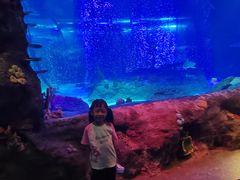 -沈阳海洋探索中心