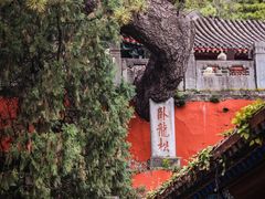 -潭柘寺景区