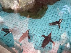 -上海野生动物园