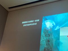 -云昕水语(嘉禾金铂旗舰店)