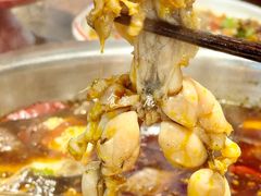 美蛙-青山青豆花·笑禅豆腐鱼(黄泥塝店)