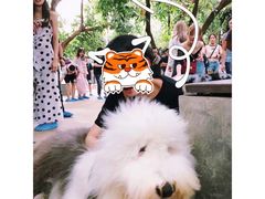-TrueLove @ Neverland (Husky Cafe)
