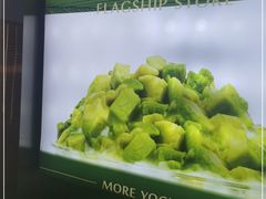 -茉酸奶(春熙路店)