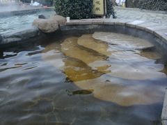-徂徕山森林康养度假谷温泉